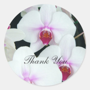Sticker Rond Soeurs - Merci