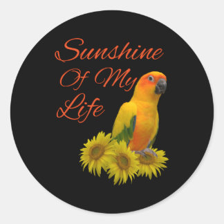 Sticker Rond Soleil de perroquet de Sun Conure