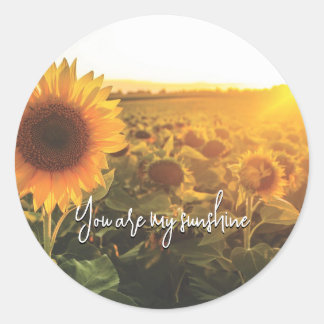Sticker Rond Soleil tournesol