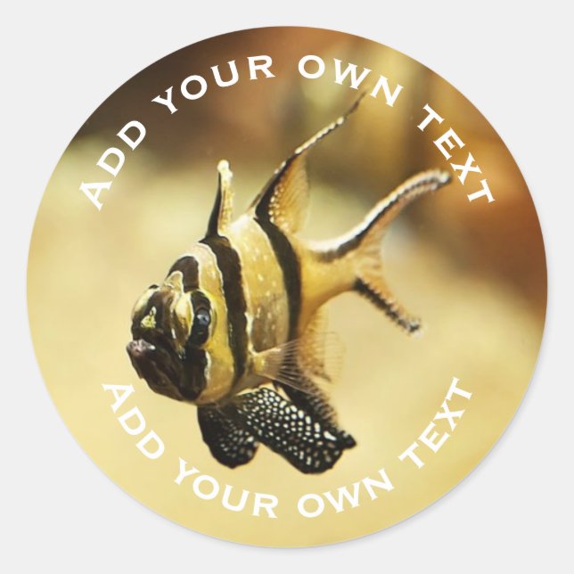 Sticker Rond Solitaire Poisson-Ange Délimité Sous L'Eau Texte P (Devant)