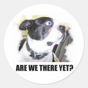 STICKER ROND SOMMES-NOUS ENCORE LÀ ?