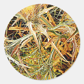 Sticker Rond Spanische Distel