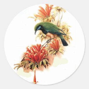 Sticker Rond Splendeur tropicale