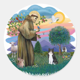 Sticker Rond St Francis (ff) - chat noir et blanc