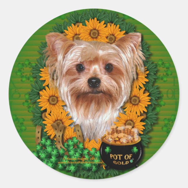 Sticker Rond St patrick - Pot d'or - Yorkshire Terrier (Devant)
