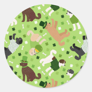 Sticker Rond St. Patrick's Day Labradoodle / Goldendoodle