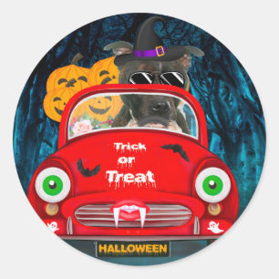 Sticker Rond Staffordshire Chien voiture voiture effrayant Hall