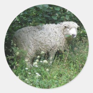 Sticker Rond Stick mignon blanc en bouillie Manger