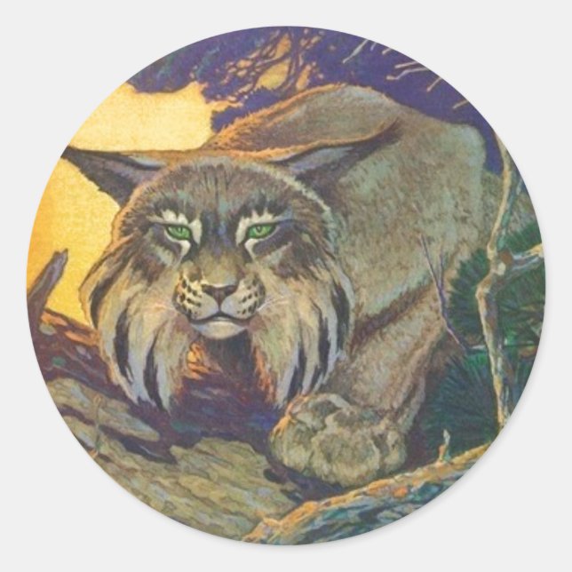 Sticker Rond Stick Wildlife Bobcat Chasse au chat Twilight Sund (Devant)
