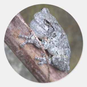 Sticker Rond Sticule grenouille gris arbre