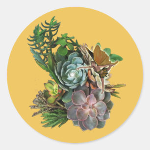 Sticker Rond Succulent design de jardin porte-monnaie en daim