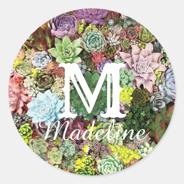 Sticker Rond Succulents colorés (Devant)