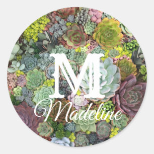 Sticker Rond Succulents de verdure