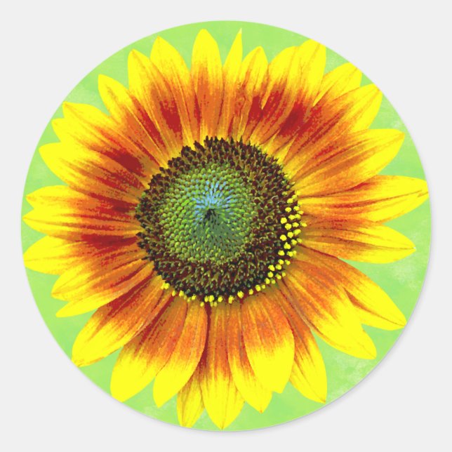 Sticker Rond Sunflower Floral Yellow and Green Flower Garden (Devant)