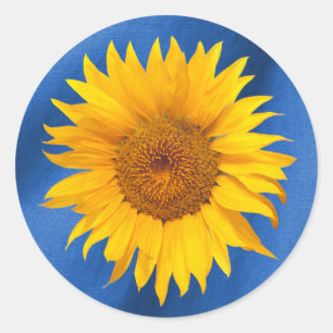 Sticker Rond Sunflower Royal Blue Wedding été Favoriser