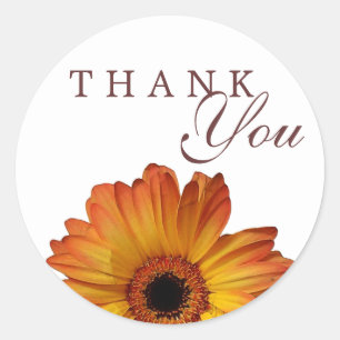 Sticker Rond Sunny Orange gerbera fleur marguerite merci