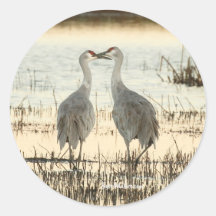 Sunrise Sandhill