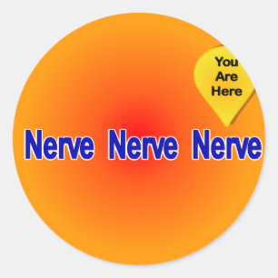 Sticker Rond Sur ma Dernière Nerve