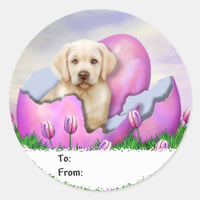 Sticker Rond Surprise de Pâques du Labrador jaune (Devant)