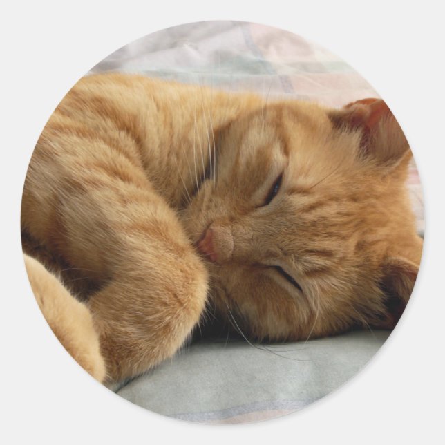 Sticker Rond Sweet Dreams (Devant)