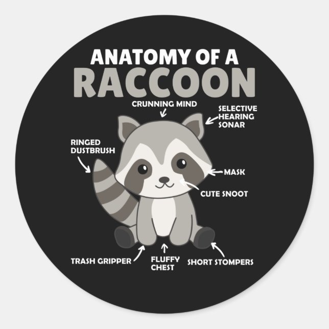 Sticker Rond Sweet Raccoon Explication Anatomie D'Un Raccoon (Devant)