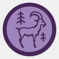 SYMBOLE Zodiaque Capricorne