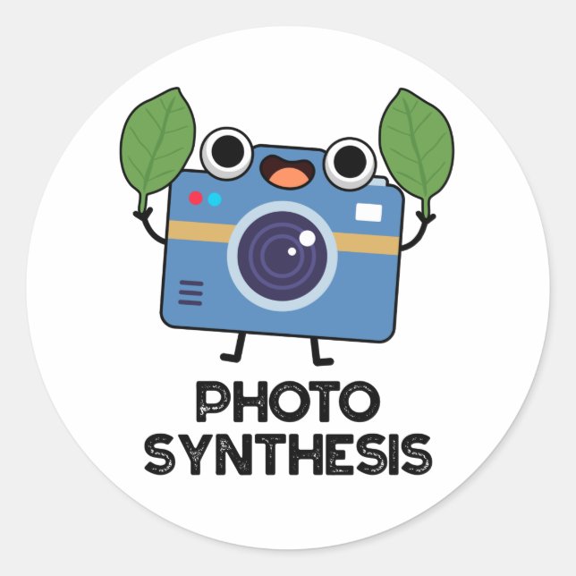 Sticker Rond Synthèse De Photo Drôle Caméra Pun (Devant)