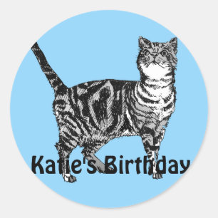 Sticker Rond Tabby Chat Whimsical Blue Girls Anniversaire Stick