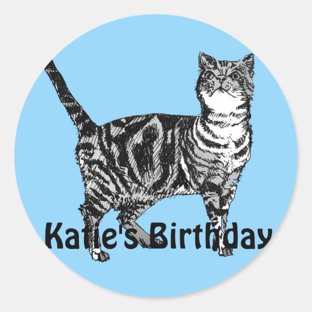 Sticker Rond Tabby Chat Whimsical Blue Girls Anniversaire Stick (Devant)