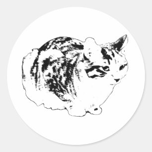 Sticker Rond Tabby d'hiver gras en pains