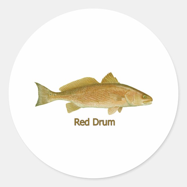 Sticker Rond Tambour rouge (intitulé) (Devant)
