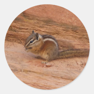 Sticker Rond Tamia de Zion sur les rochers rouges