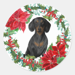 Sticker Rond Tan Noir Dachshund Poinsettia Vacances