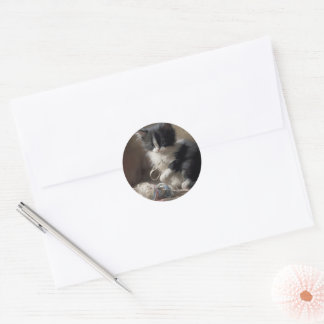 Sticker Rond Tangup Dans Fun Black and White Kitten