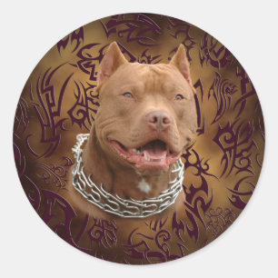 Sticker Rond tatouage tribal brun Pitbull