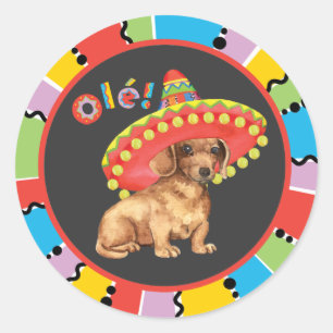 Sticker Rond Teckel de fiesta