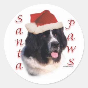 Sticker Rond Terre-Neuve (atterrisseur) Père Noël Paws
