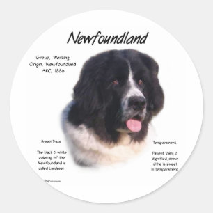Sticker Rond Terre-Neuve - Terre-Neuve - Histoire; J'aime Newfi