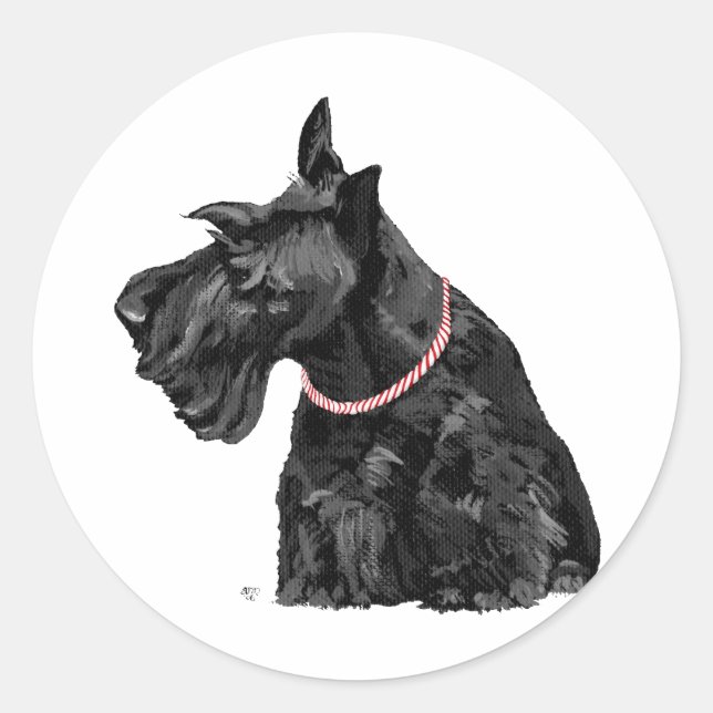 Sticker Rond Terrier Écossais curieux (Devant)