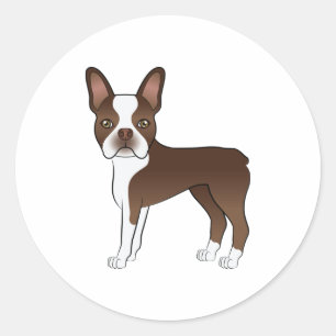 Sticker Rond Tervueren marron Boston Terrier Chien de dessin an