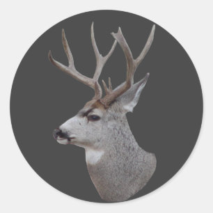 Sticker Rond Tête de cerf mâle D27