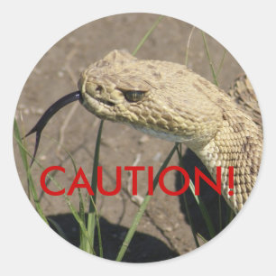 Sticker Rond Tête de crotale R8 Prairie
