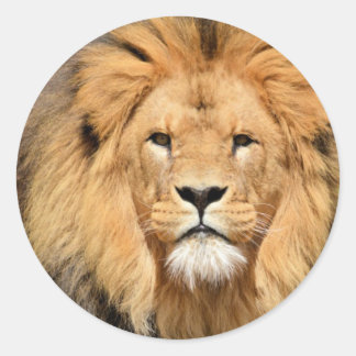 Sticker Rond Tête de Lions