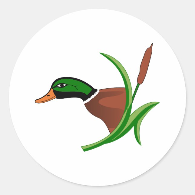 Sticker Rond Tête de Mallard (Devant)