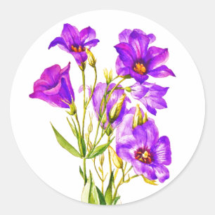 Sticker Rond Texas Bluebells Eustoma Russellianum Aquarelle