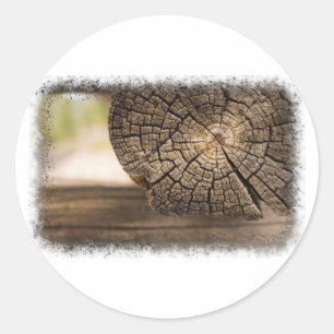 Sticker Rond Textures en bois Cabine