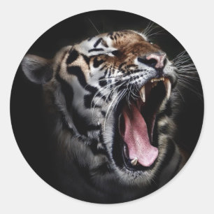 Sticker Rond Tigre