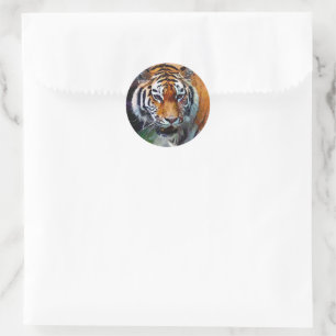 Sticker Rond Tigre