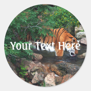 Sticker Rond Tigre à la chute