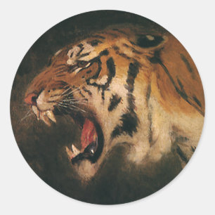 Sticker Rond Tigre du Bengale vintage Grosse chatte Gravure, an